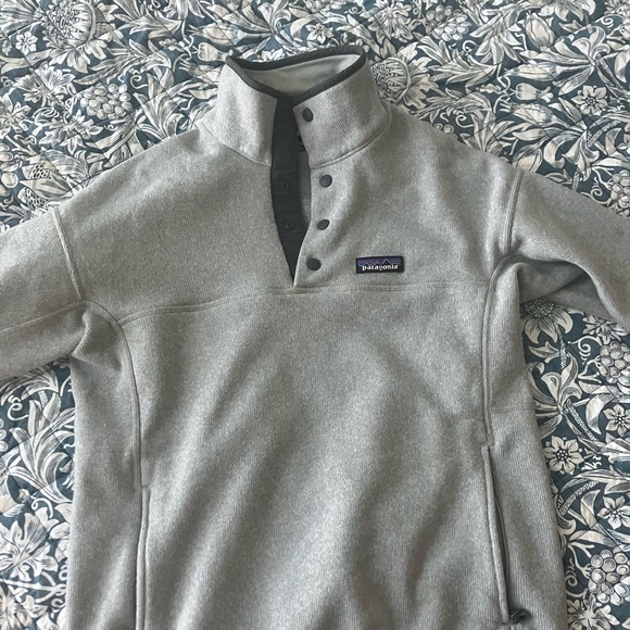 Patagonia Light Gray Fleece Pullover - Picture 2 of 5